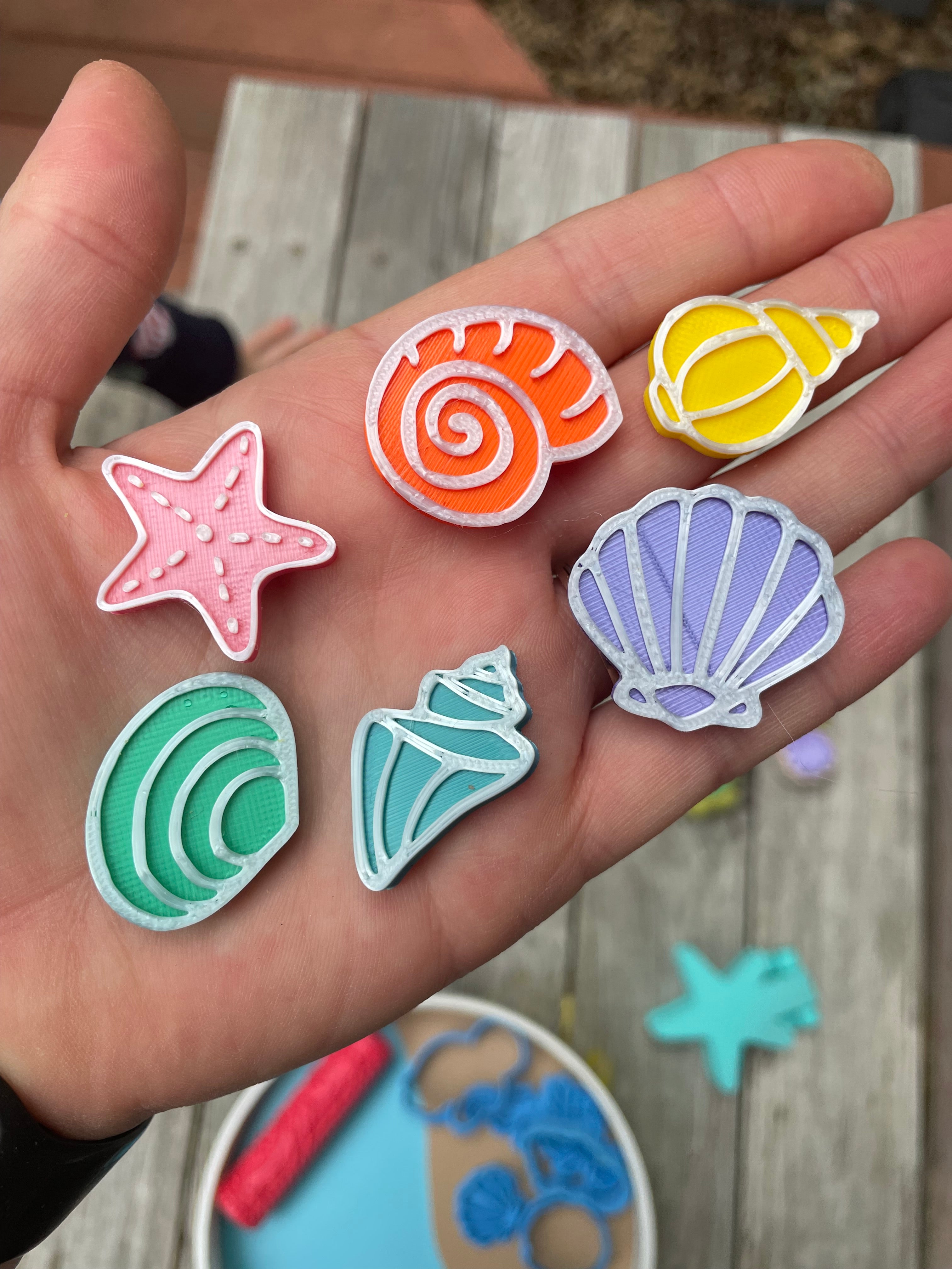 Ocean Counters (shells & coins)