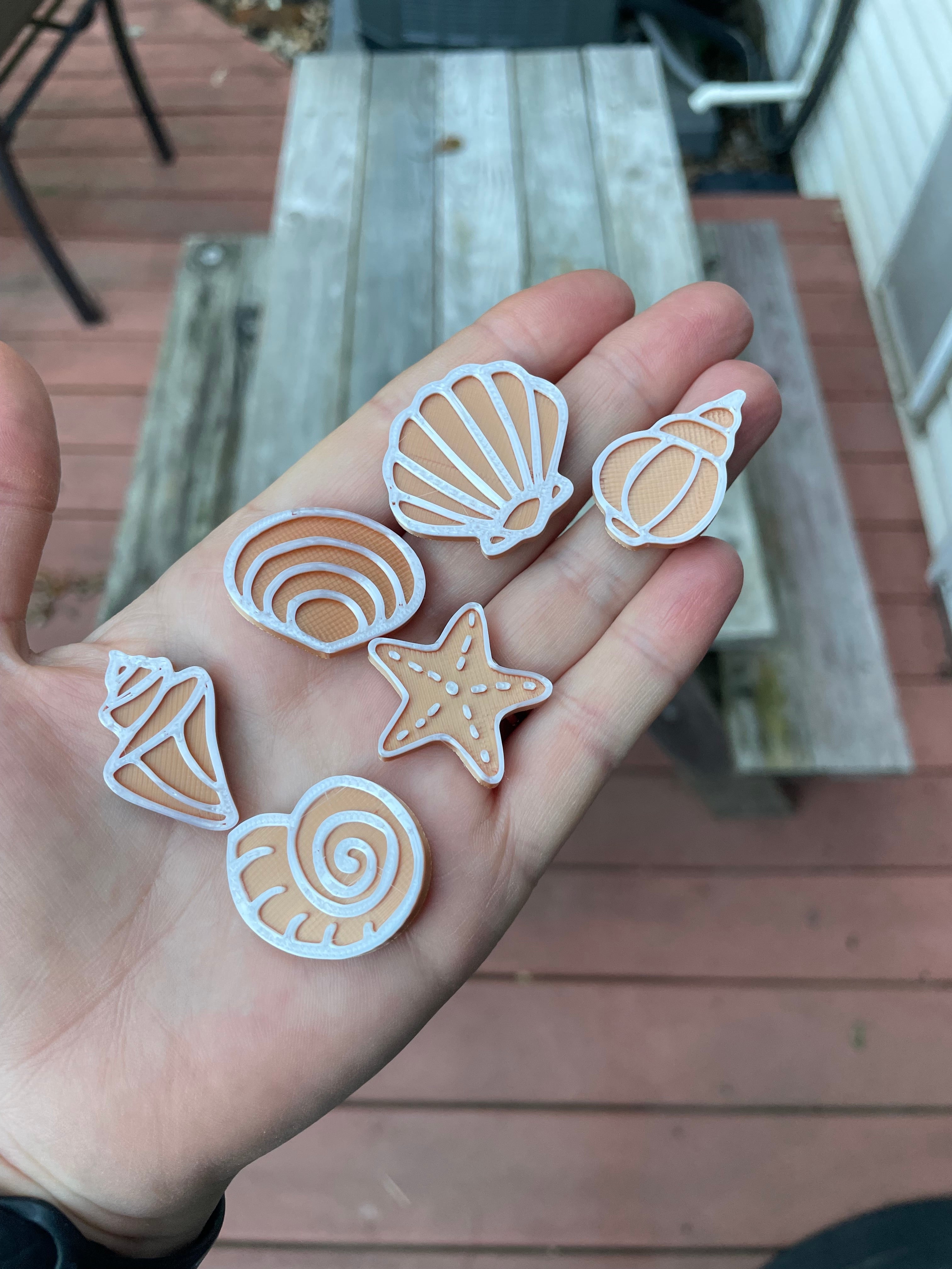 Ocean Counters (shells & coins)