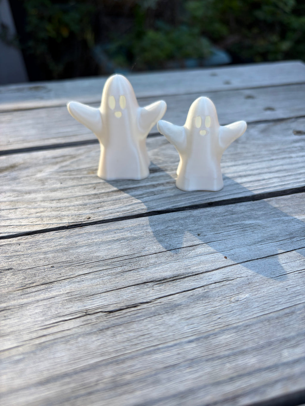 A Ghostly Duo