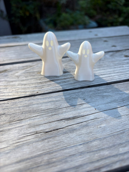 A Ghostly Duo