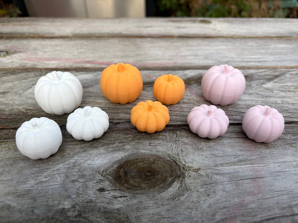 Mini Pumpkin Trio