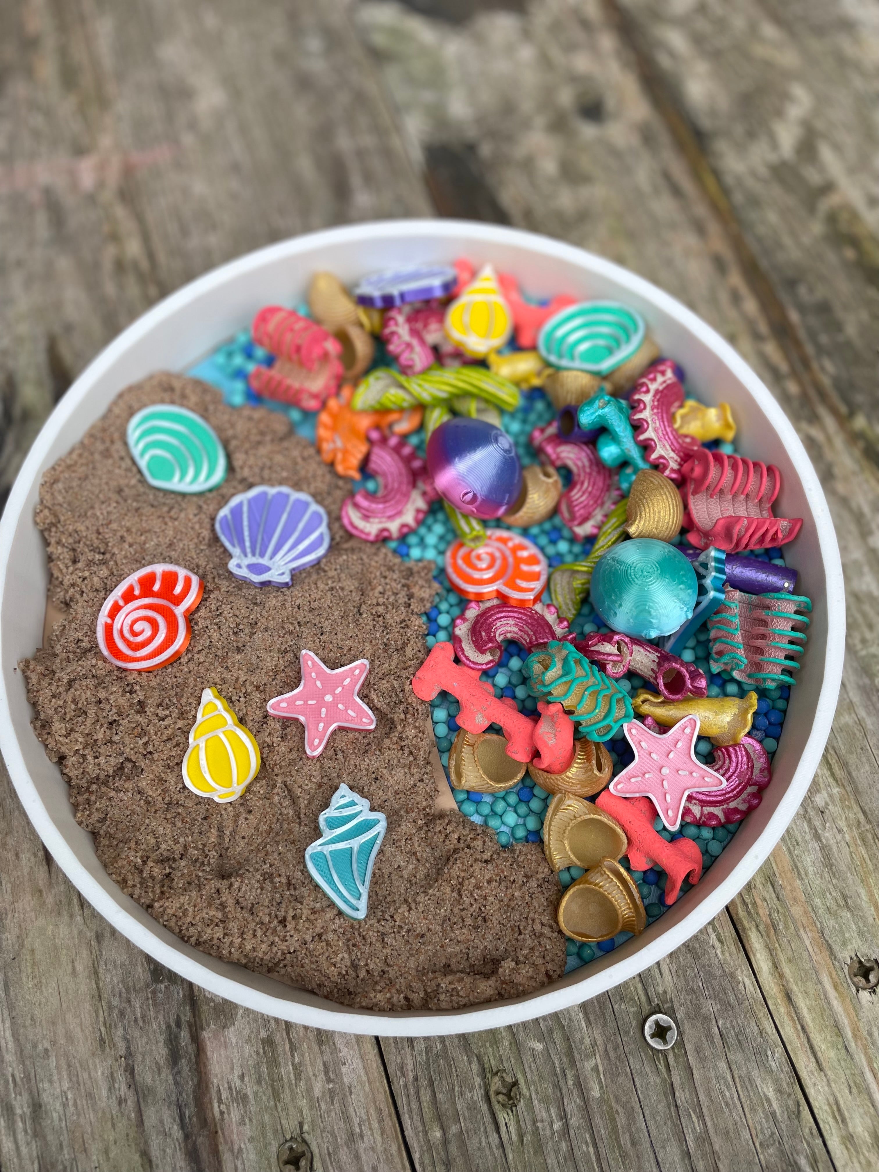 Ocean Counters (shells & coins)