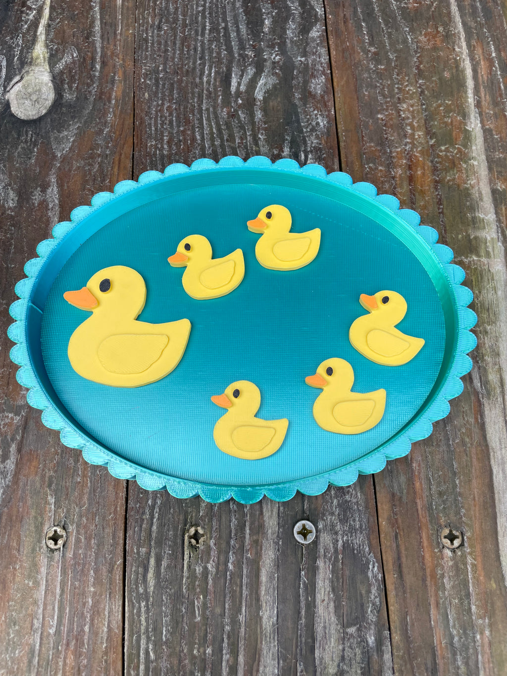 Oval Pond Tray