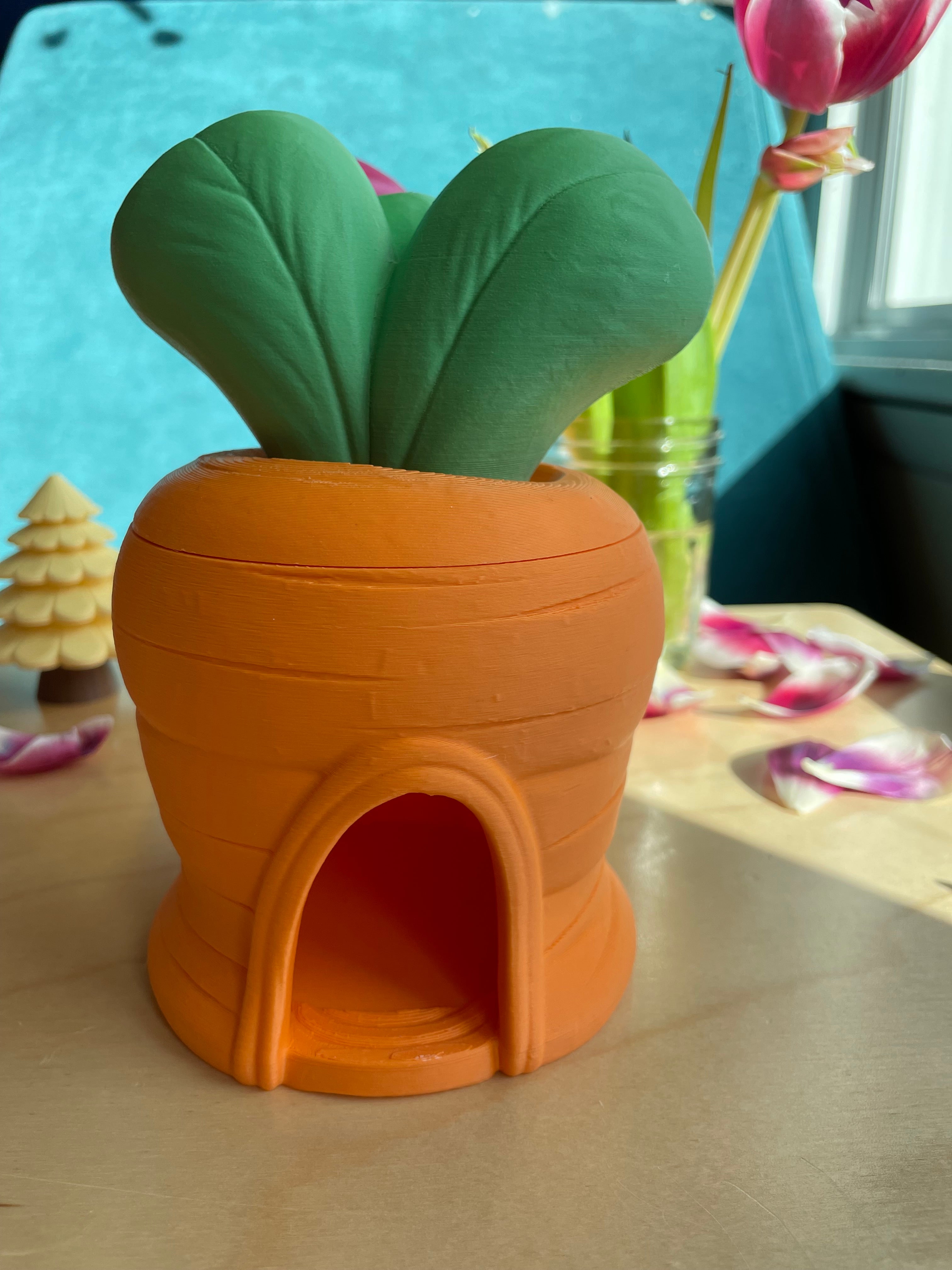 Carrot House