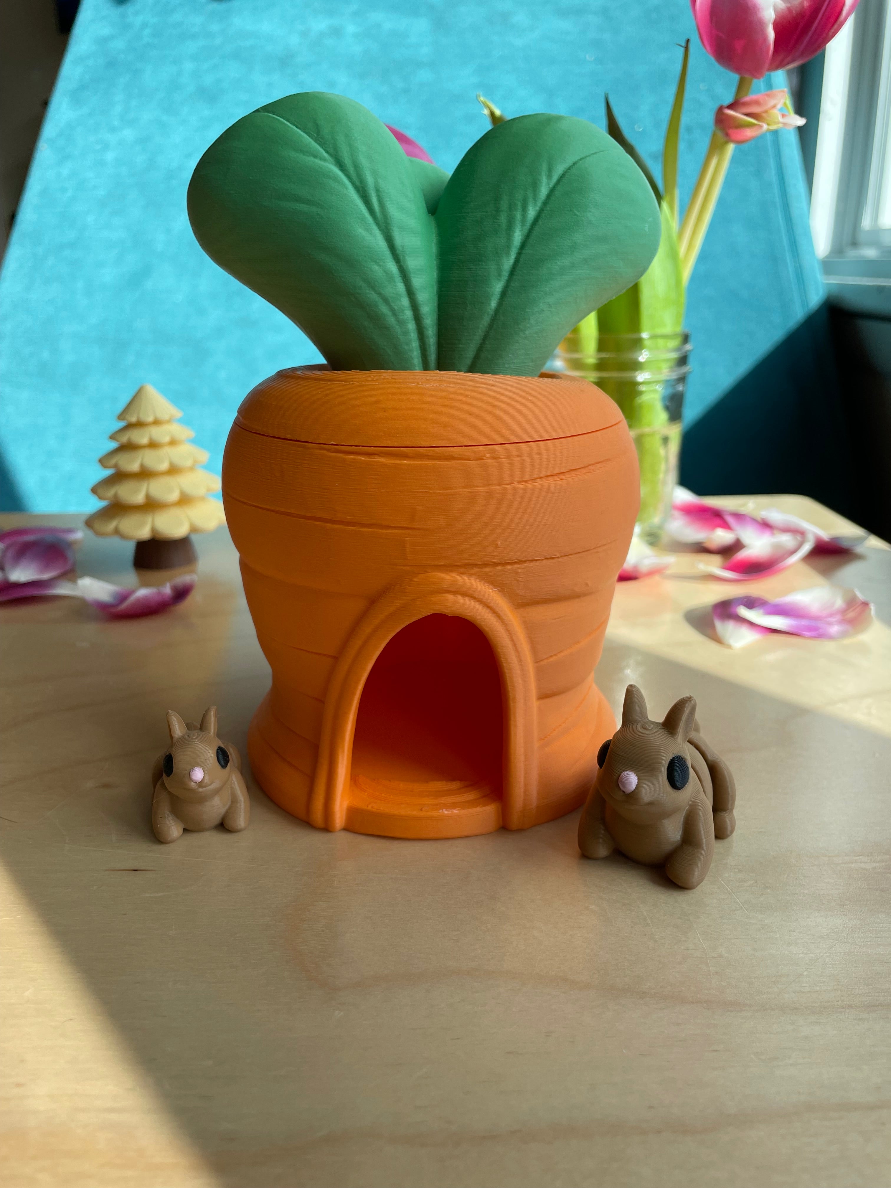 Carrot House