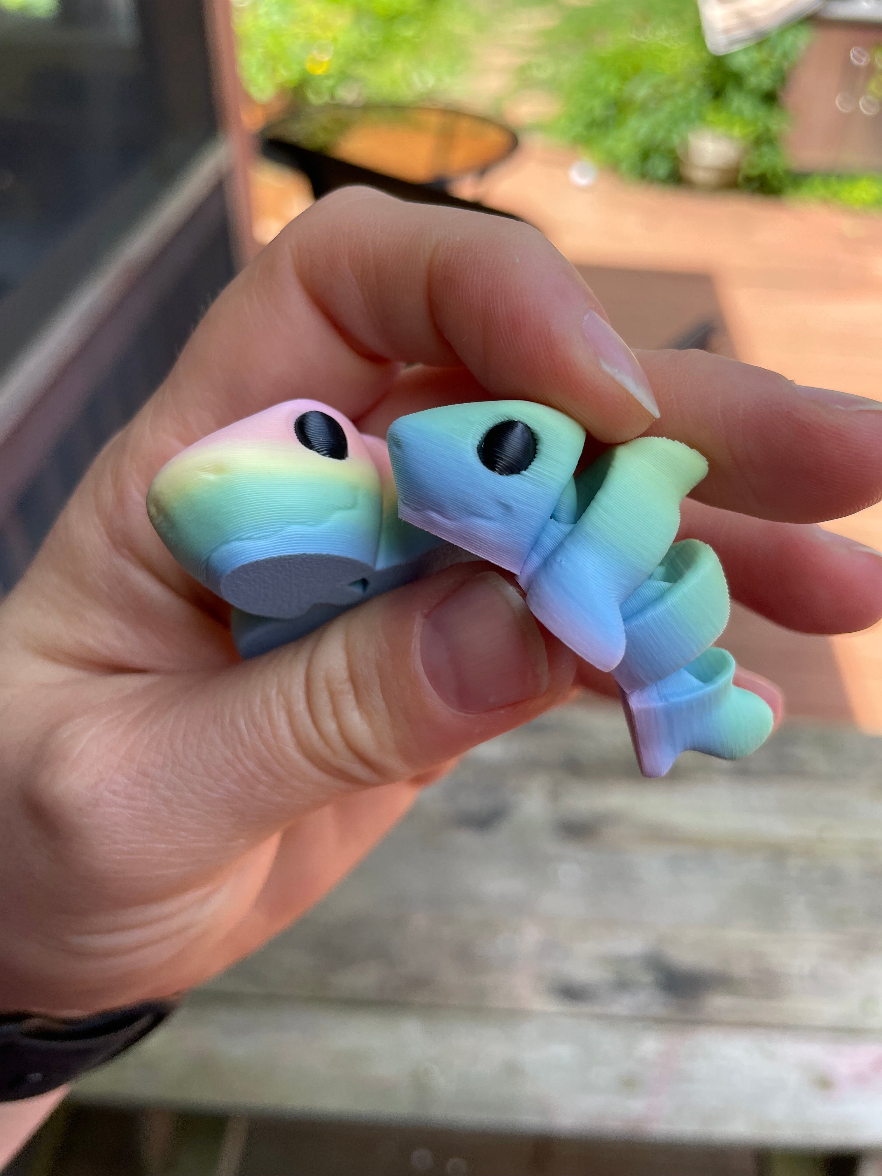 Ocean Pairs