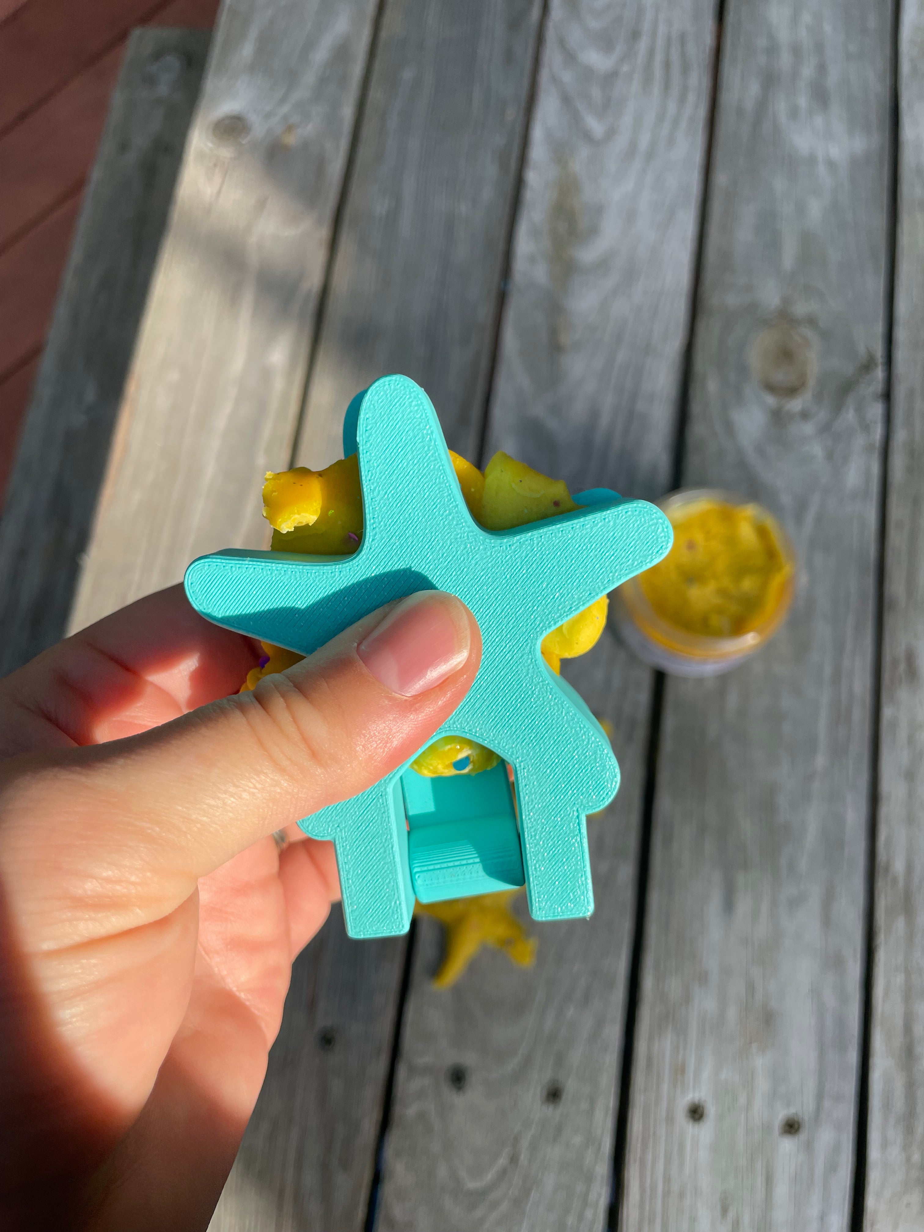 Sea Star Dough Mold