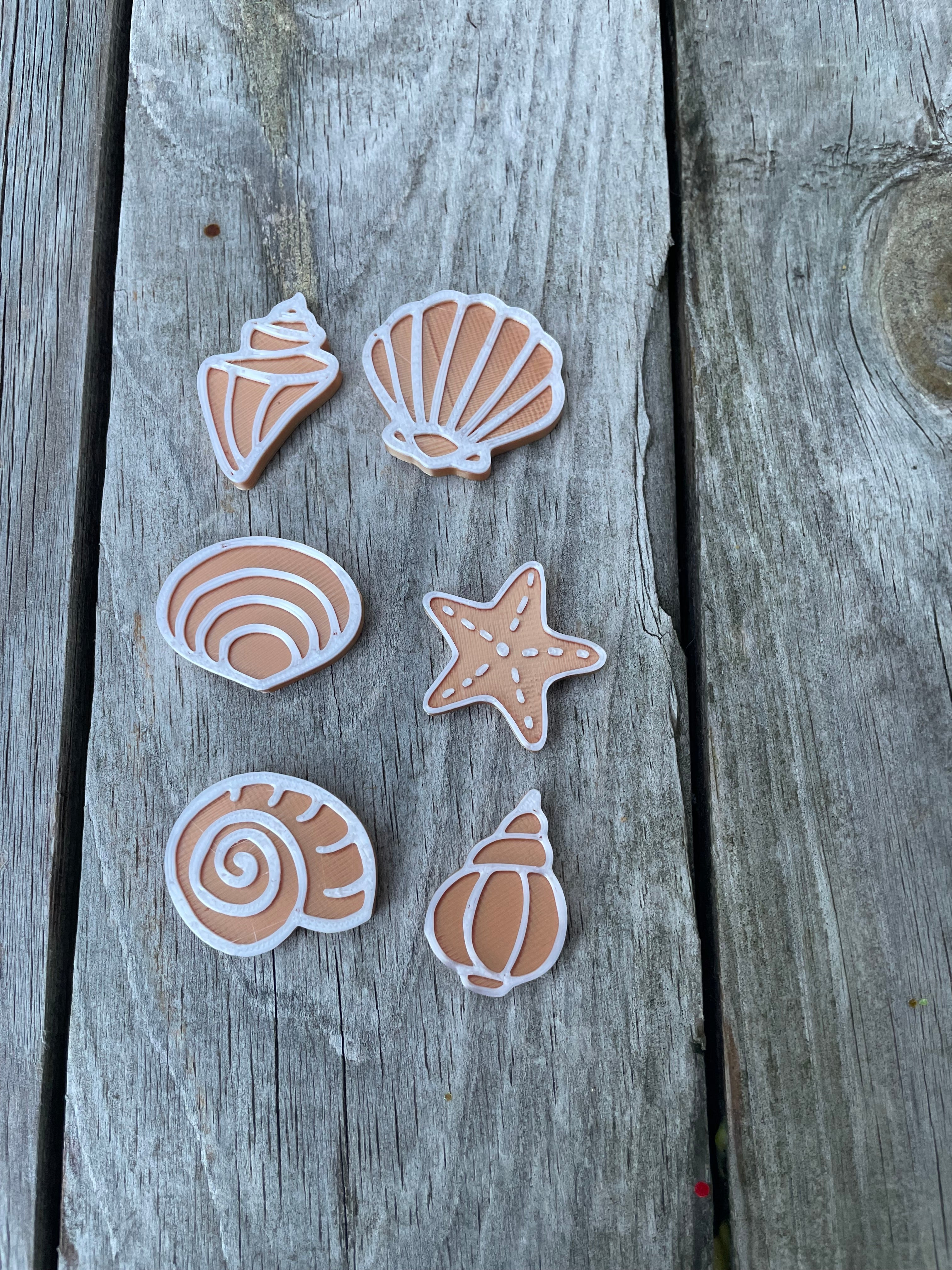 Ocean Counters (shells & coins)