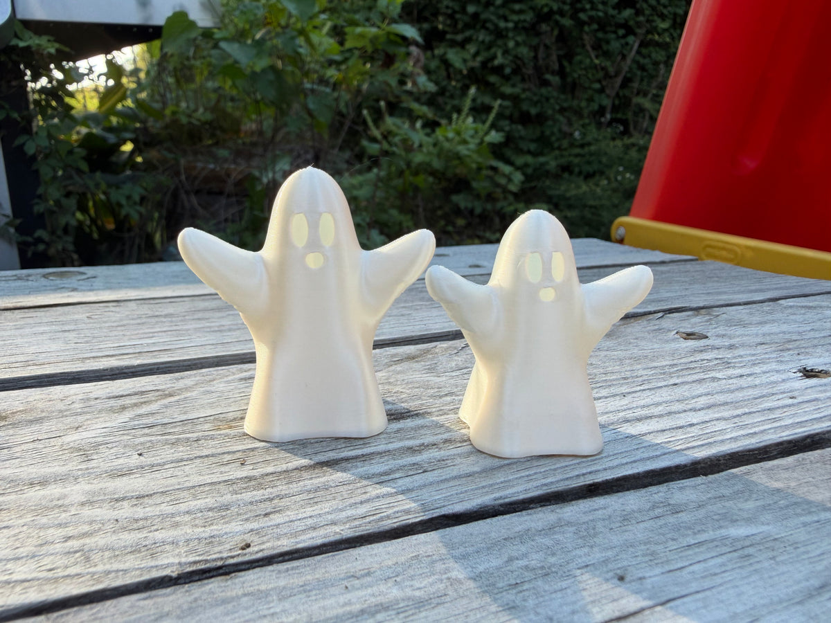 A Ghostly Duo