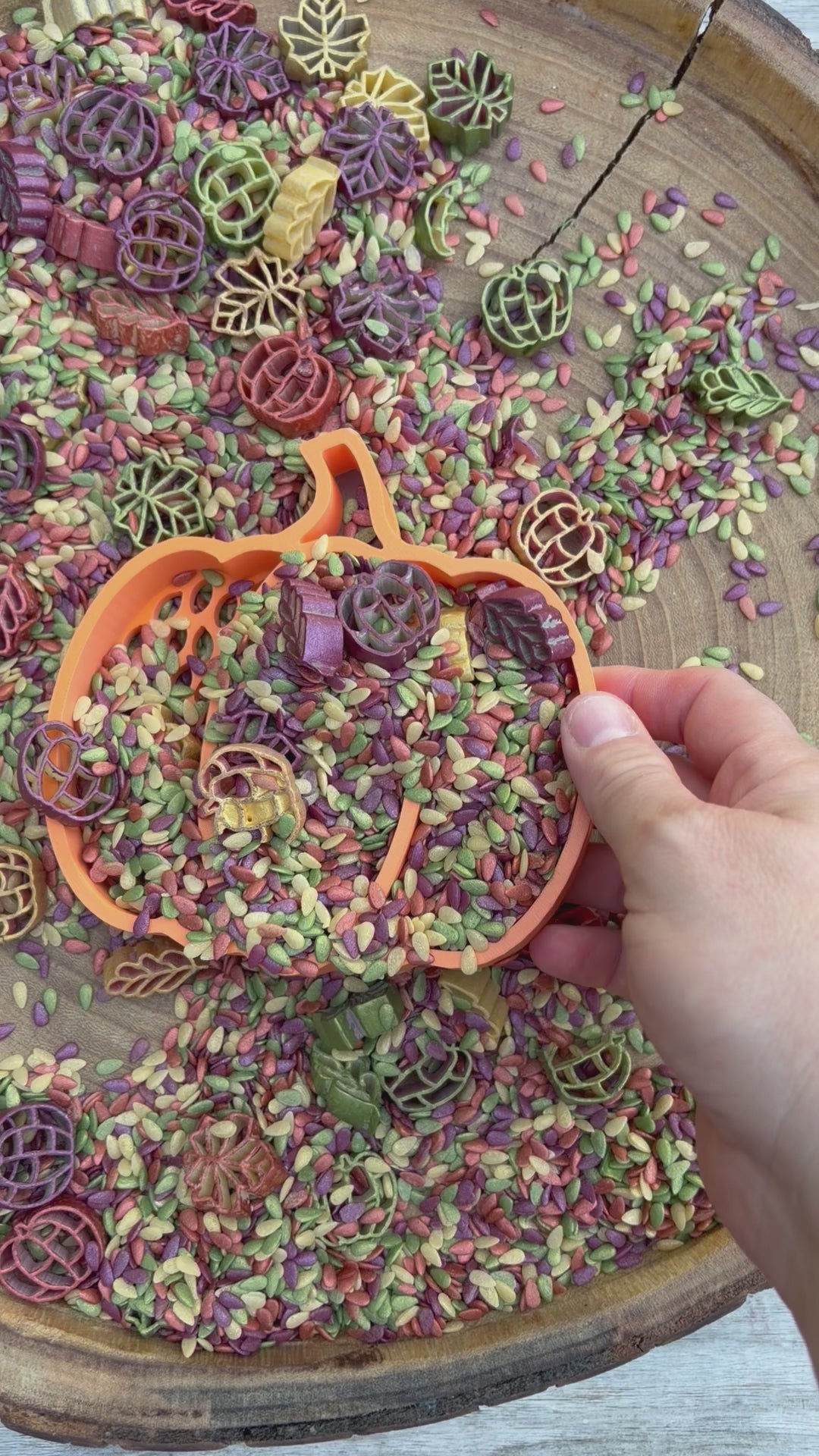 Pumpkin Sifter with Divided Sections